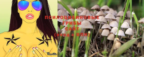 ПСИЛОЦИБИНОВЫЕ ГРИБЫ Михайловка